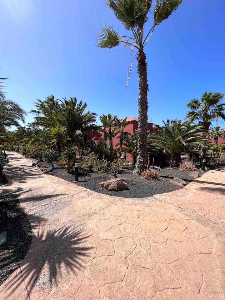 Sun & Sea Apartment In Corralejo Dış mekan fotoğraf
