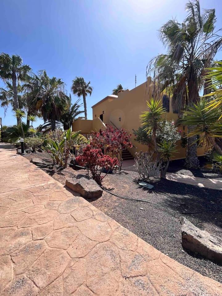 Sun & Sea Apartment In Corralejo Dış mekan fotoğraf